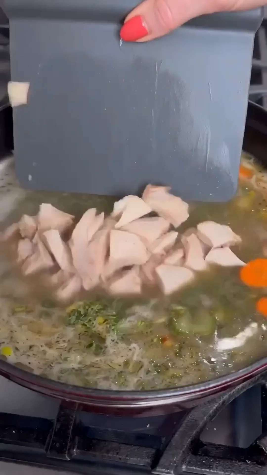 Hearty Turkey and Dumplings Soup with Herb Broth – Adding chicken to a soup or stew